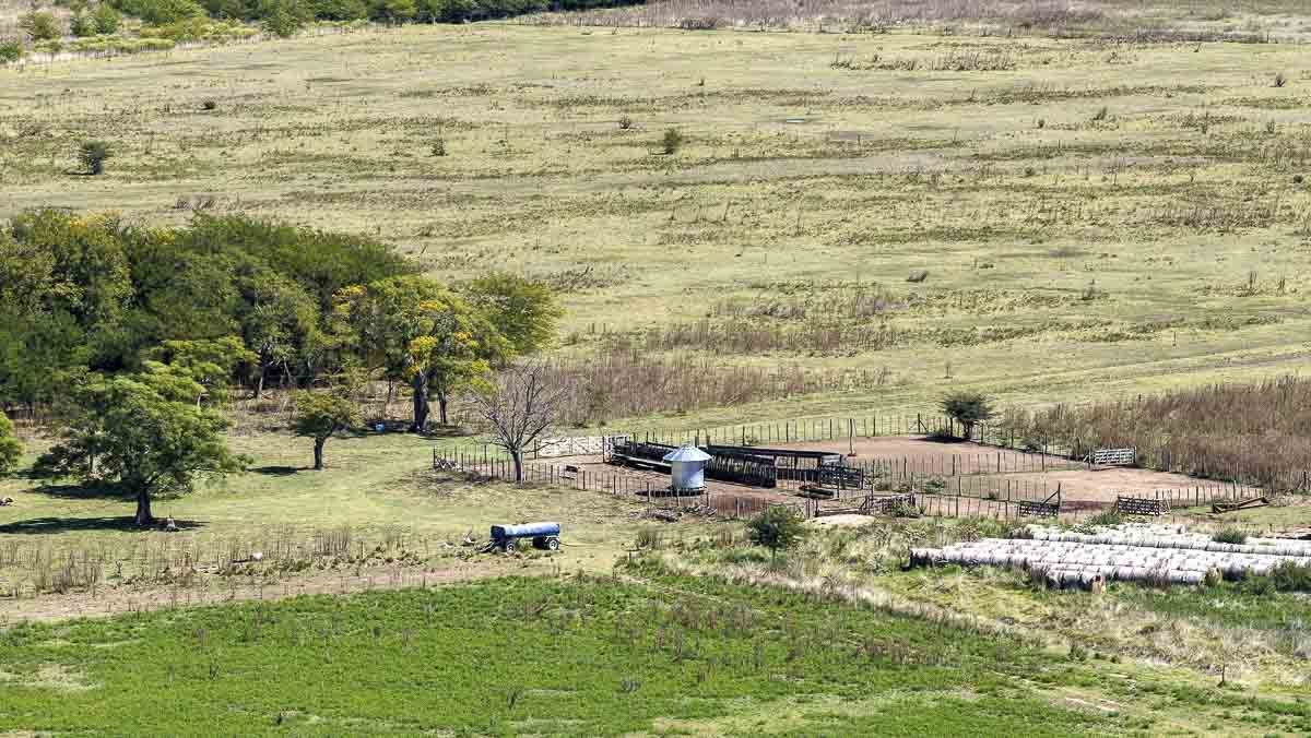 web R063 – 220 HAS-5