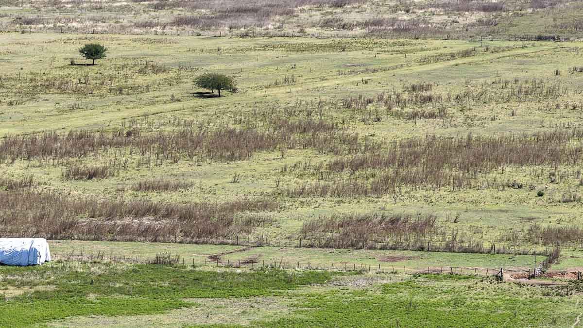 web R063 – 220 HAS-6