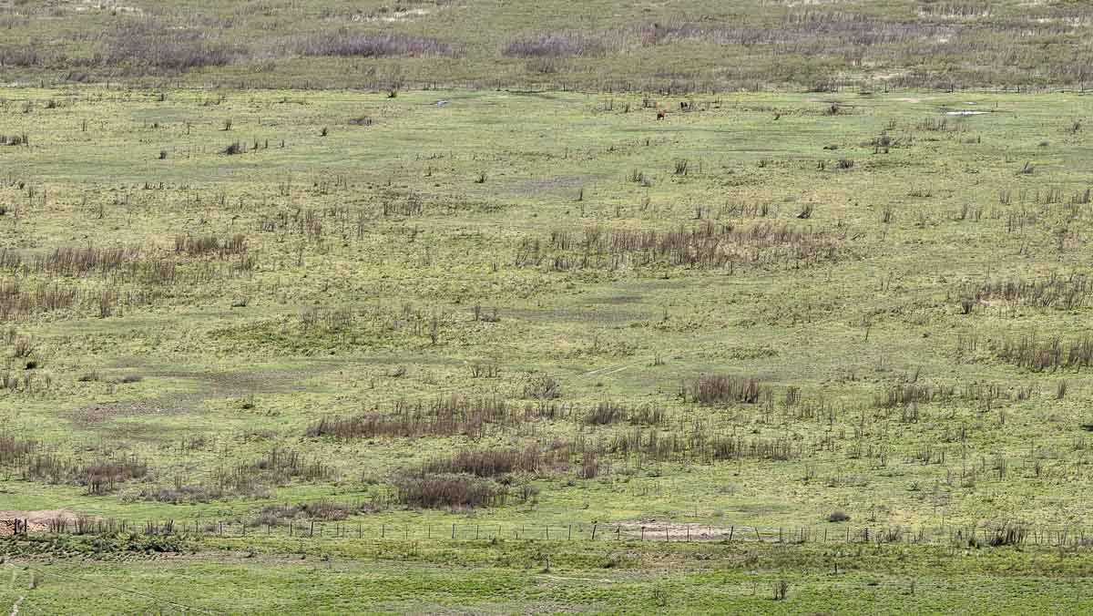 web R063 – 220 HAS-7