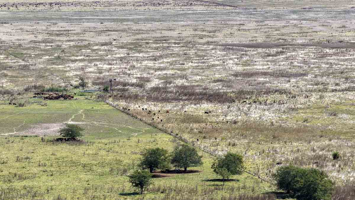 web R063 – 220 HAS-8