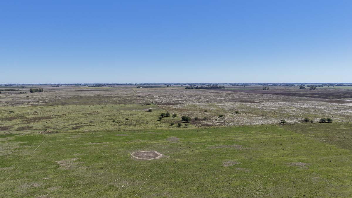 web R063 – 220 HAS-9