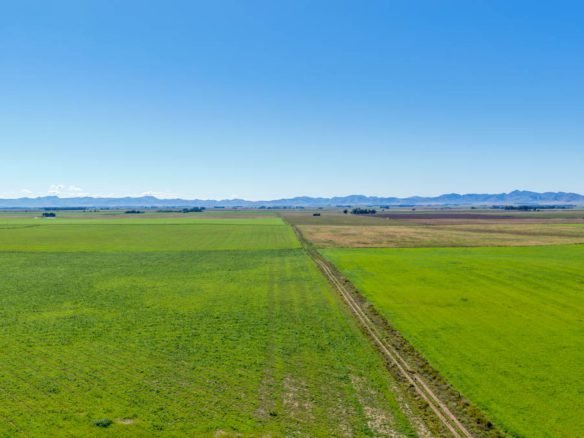 Sebastián Zara Campo de 242 has en Dufaur Saavedra, Bs As