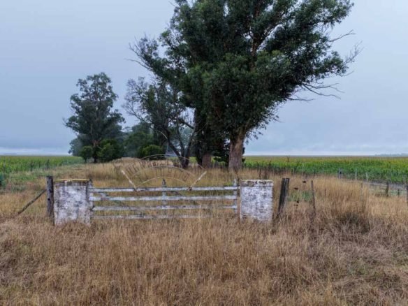 Sebastián Zara Campo de 475 hectáreas en Benito Juarez, Bs As