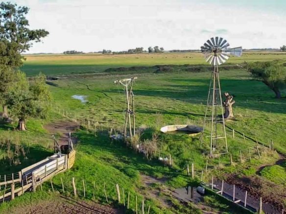 Sebastián Zara Campo de 45 hectáreas en Islas, partido de 25 de Mayo, Bs As