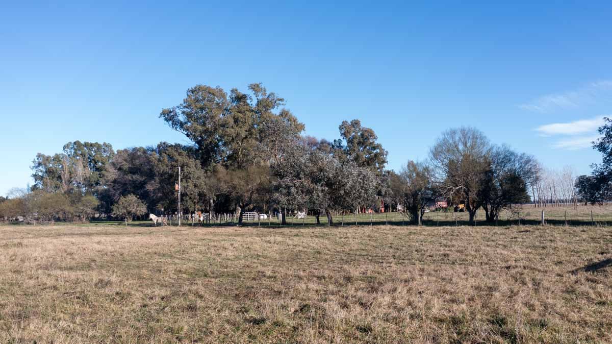 34 has Chascomus, Buenos Aires – WEB-11