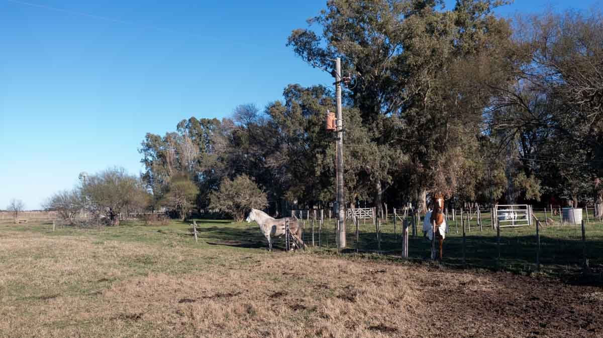 34 has Chascomus, Buenos Aires – WEB-13