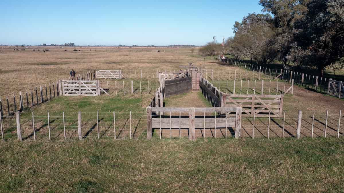 34 has Chascomus, Buenos Aires – WEB-7
