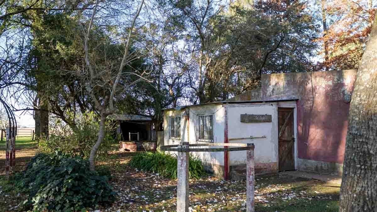WEB – 134 has Chascomus, Buenos Aires – WEB-112