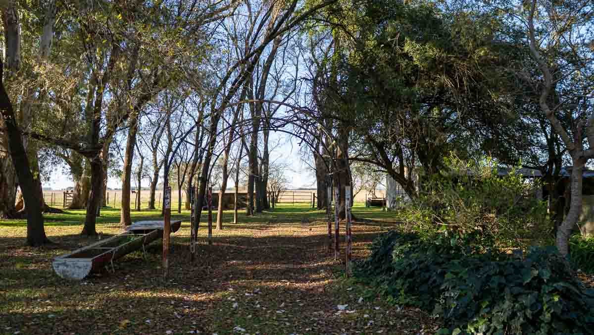 WEB – 134 has Chascomus, Buenos Aires – WEB-114