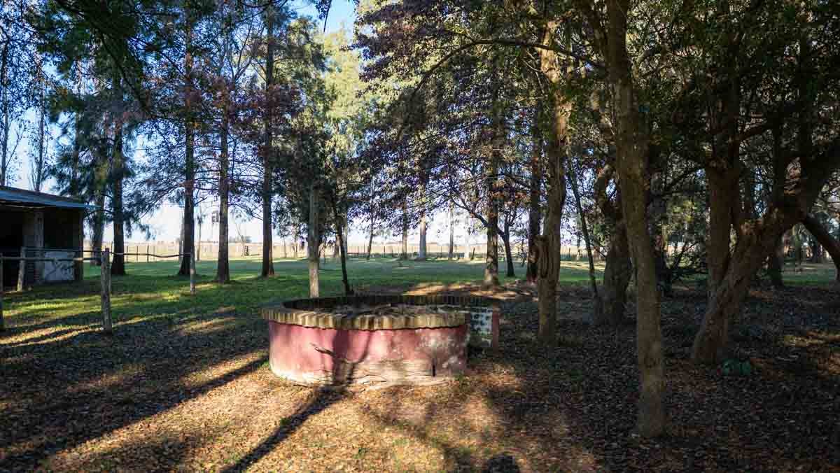 WEB – 134 has Chascomus, Buenos Aires – WEB-117