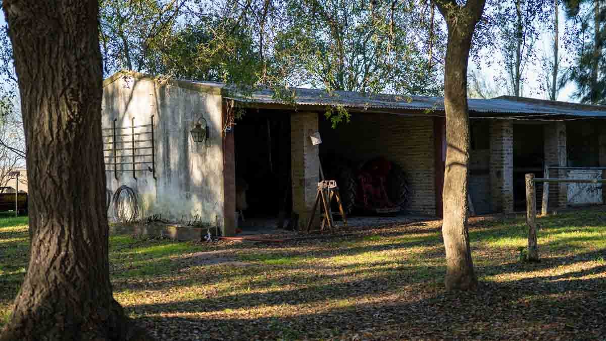WEB – 134 has Chascomus, Buenos Aires – WEB-119