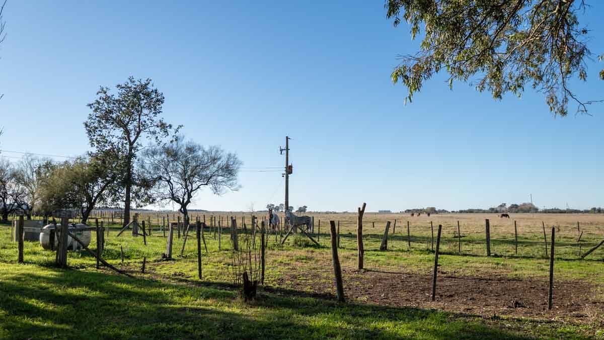 WEB – 134 has Chascomus, Buenos Aires – WEB-124