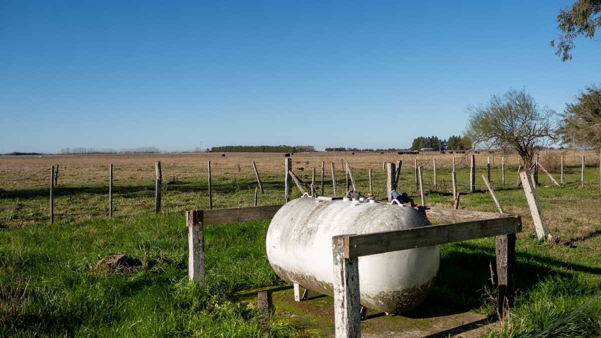 WEB – 134 has Chascomus, Buenos Aires – WEB-129