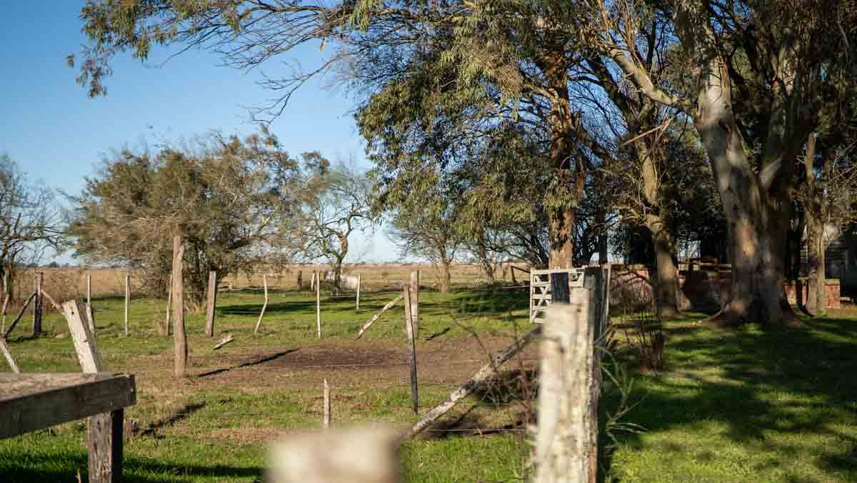 WEB – 134 has Chascomus, Buenos Aires – WEB-132