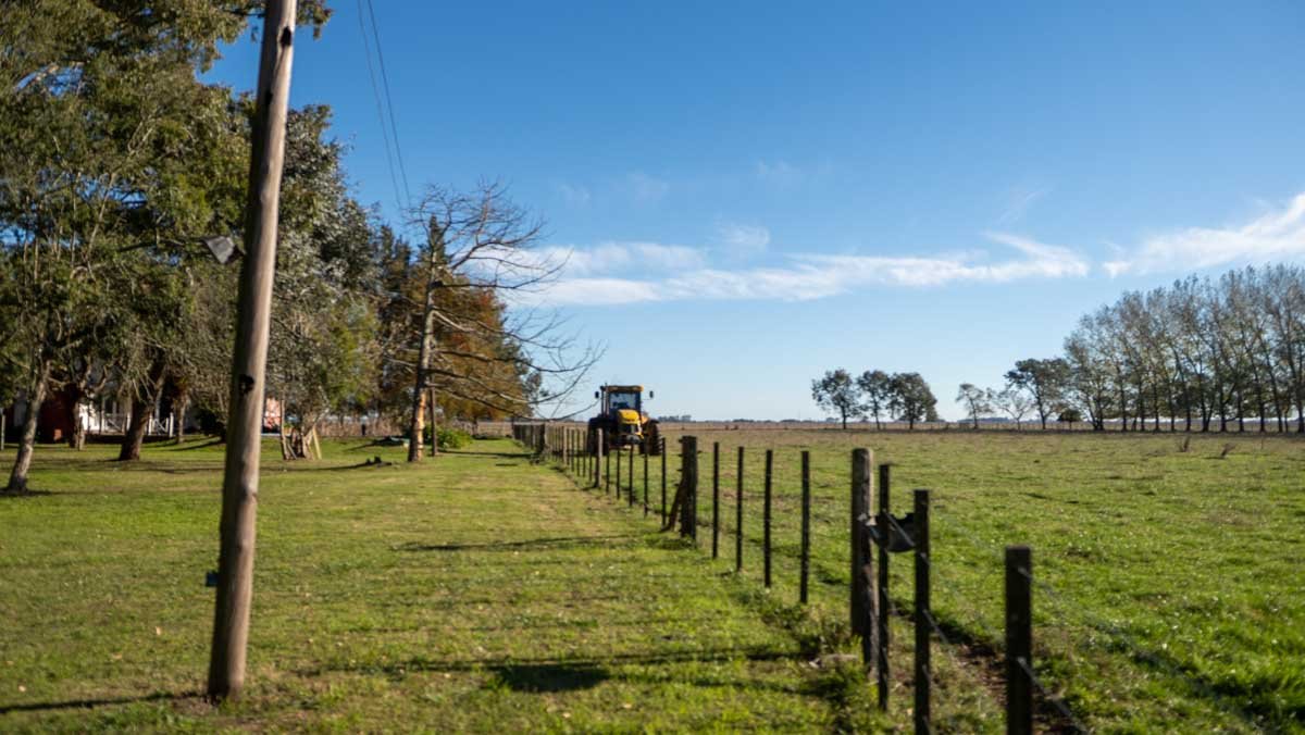 WEB – 134 has Chascomus, Buenos Aires – WEB-133