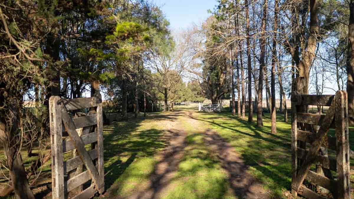 WEB – 134 has Chascomus, Buenos Aires – WEB-135