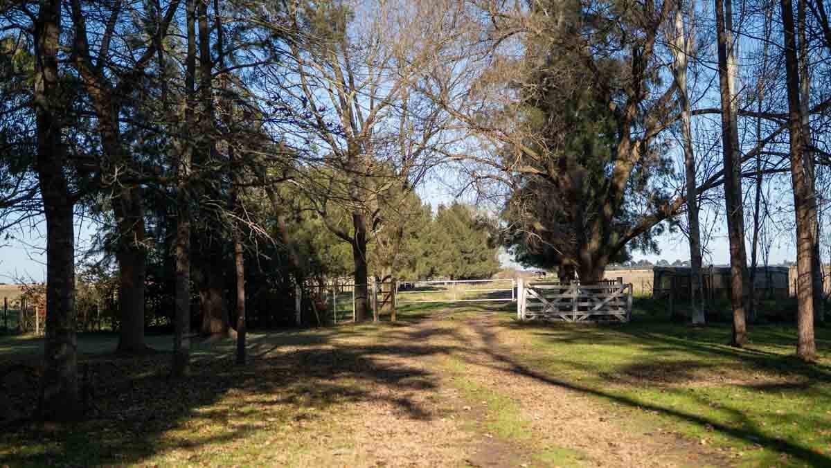 WEB – 134 has Chascomus, Buenos Aires – WEB-140