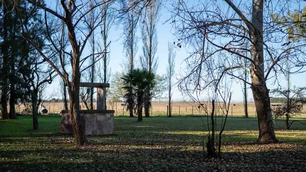 WEB – 134 has Chascomus, Buenos Aires – WEB-145