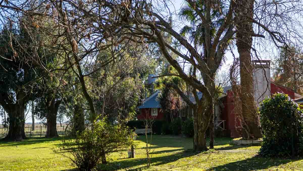 WEB – 134 has Chascomus, Buenos Aires – WEB-150
