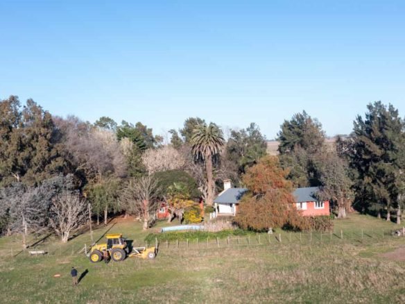 Sebastián Zara Campo de 134 hectáreas en Chascomus, Bs As