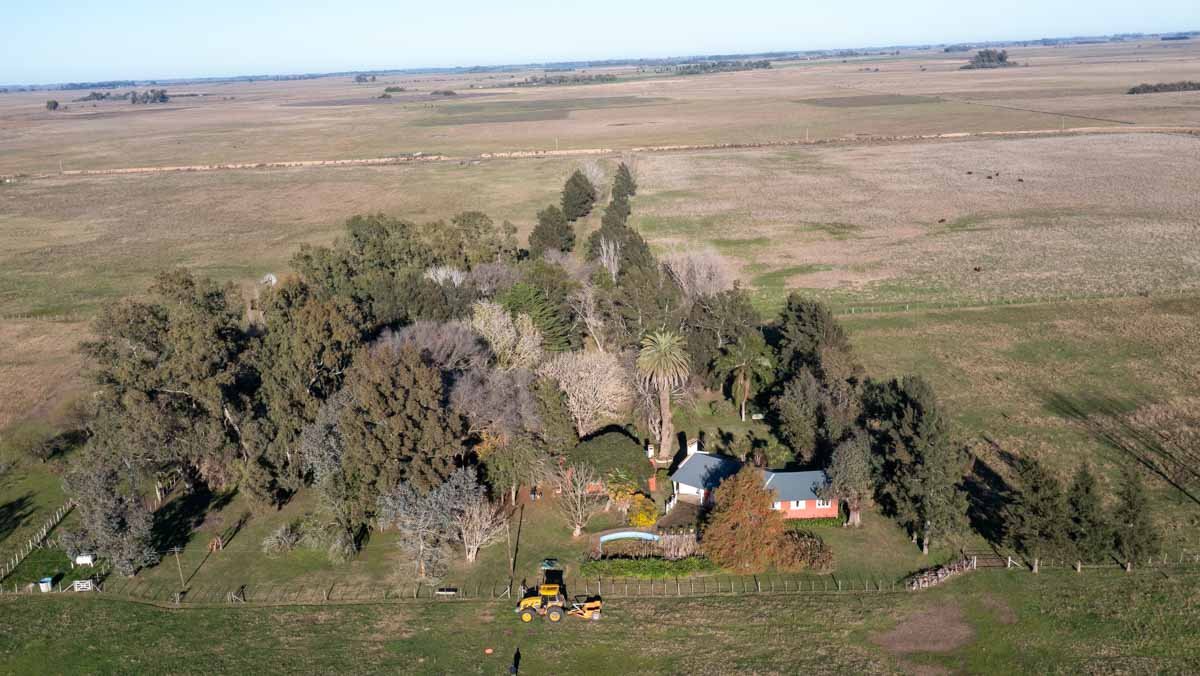 WEB – 134 has Chascomus, Buenos Aires – WEB-53