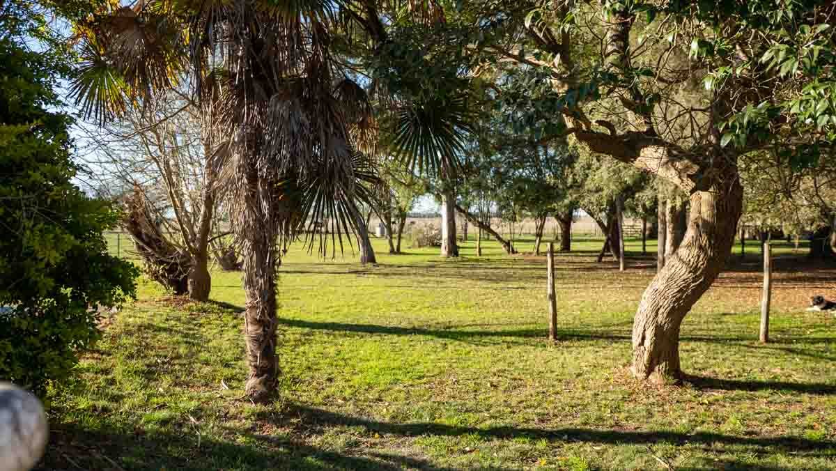WEB – 134 has Chascomus, Buenos Aires – WEB-58