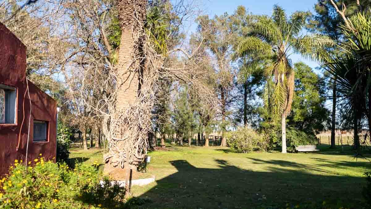 WEB – 134 has Chascomus, Buenos Aires – WEB-60