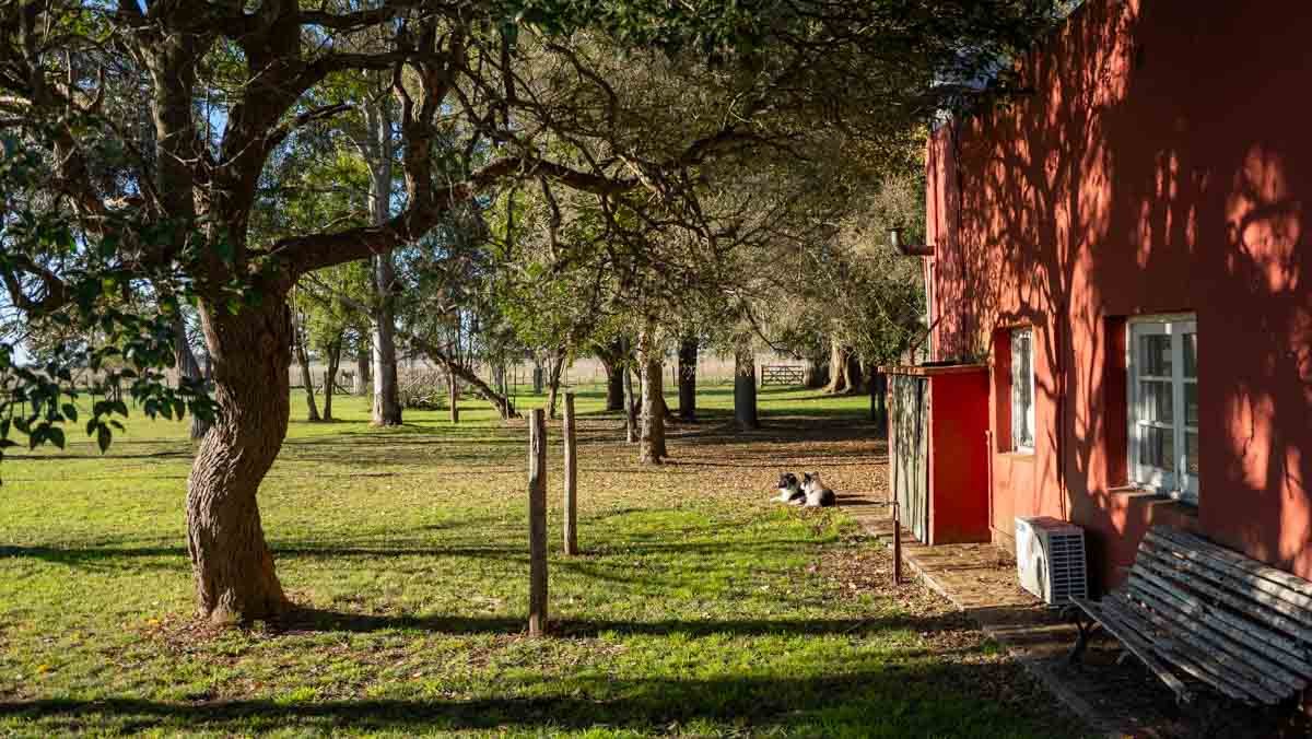 WEB – 134 has Chascomus, Buenos Aires – WEB-62
