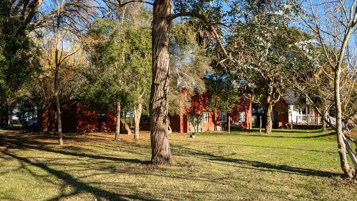 WEB – 134 has Chascomus, Buenos Aires – WEB-69