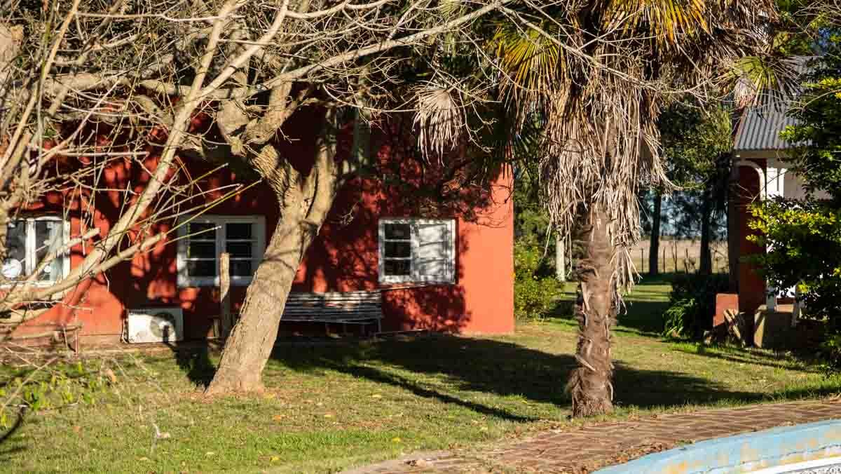 WEB – 134 has Chascomus, Buenos Aires – WEB-78