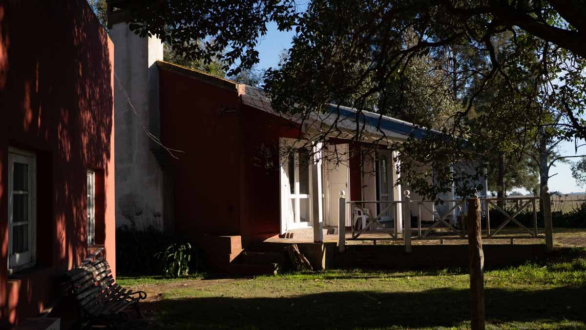 WEB – 134 has Chascomus, Buenos Aires – WEB-84