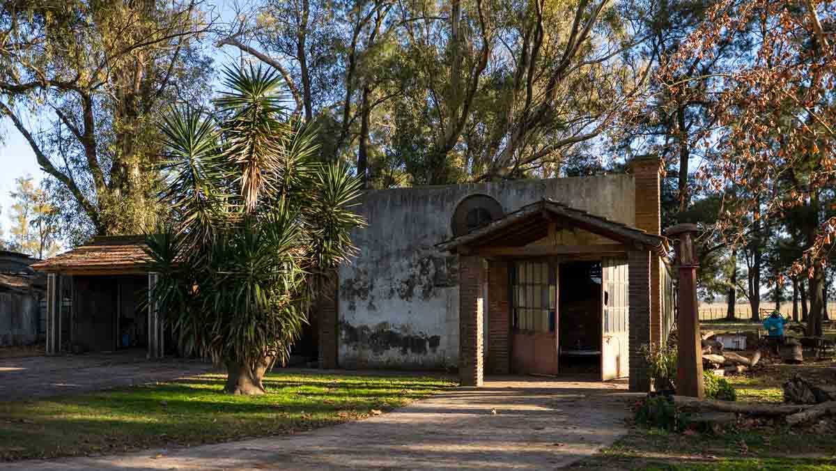 R073 – Campo de 261 has en Mercedes web-13