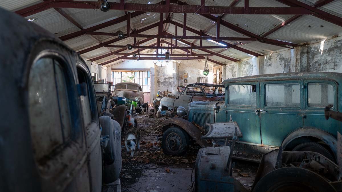 R073 – Campo de 261 has en Mercedes web-3