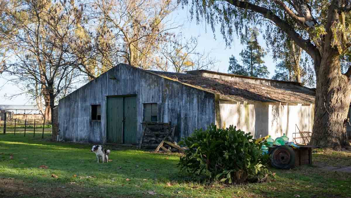 R073 – Campo de 261 has en Mercedes web-63