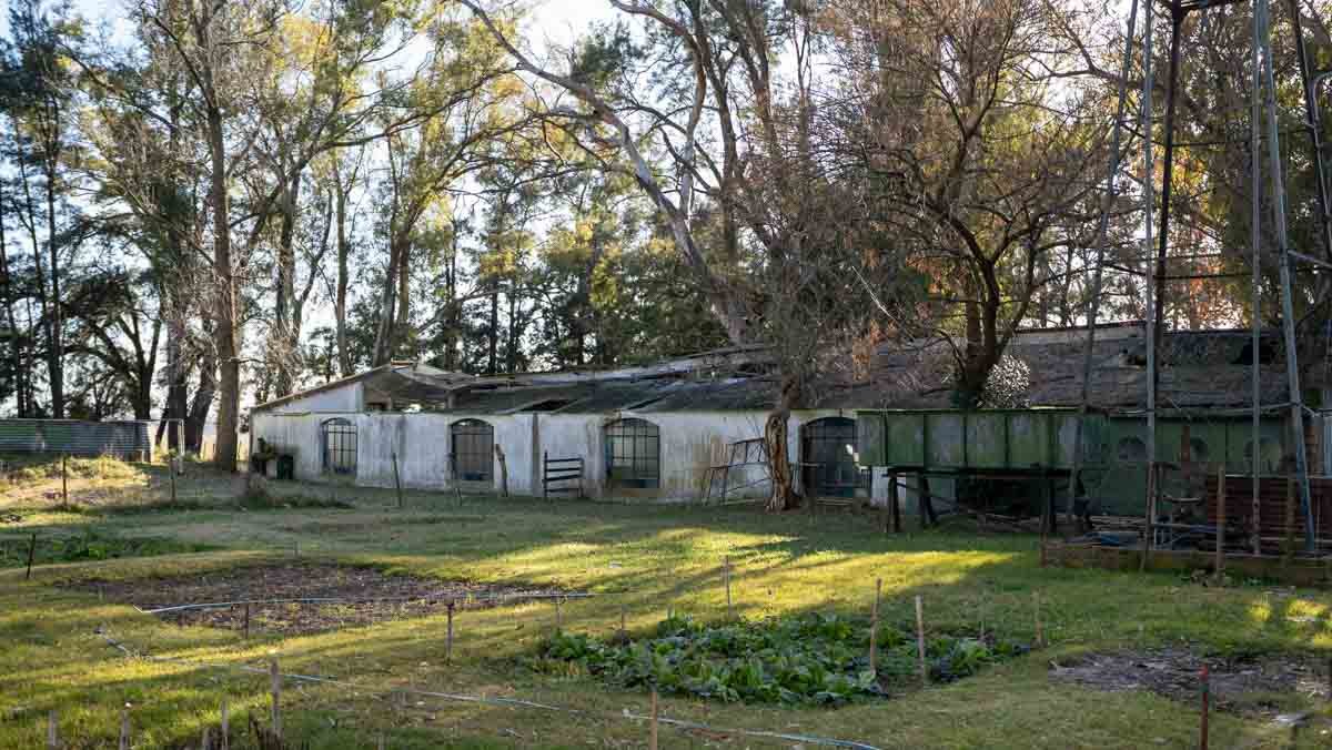 R073 – Campo de 261 has en Mercedes web-66