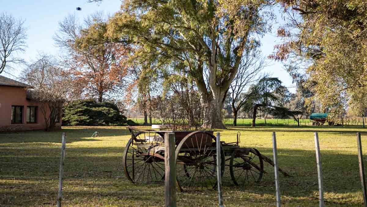 R073 – Campo de 261 has en Mercedes web-68