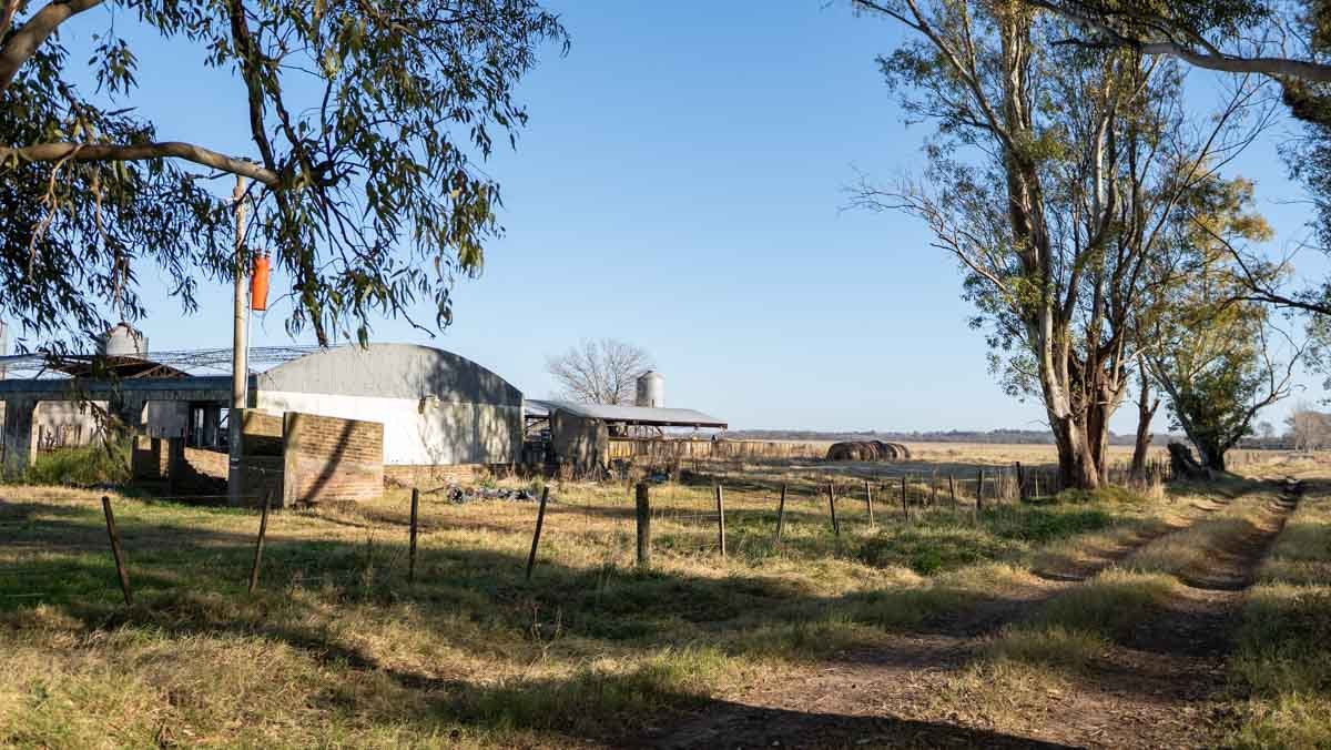 R073 – Campo de 261 has en Mercedes web-70