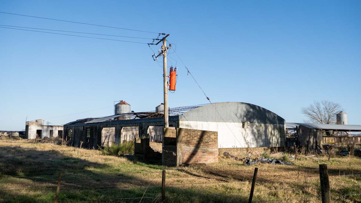 R073 – Campo de 261 has en Mercedes web-72
