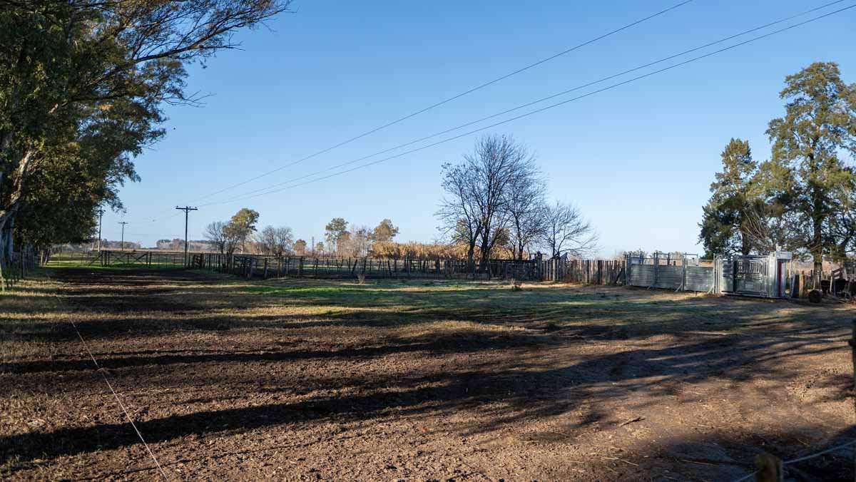 R073 – Campo de 261 has en Mercedes web-76