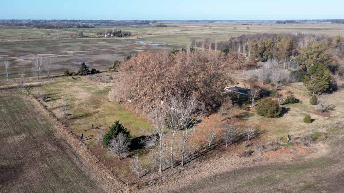 R074 – Campo de 222 has en Mercedes drone web-9