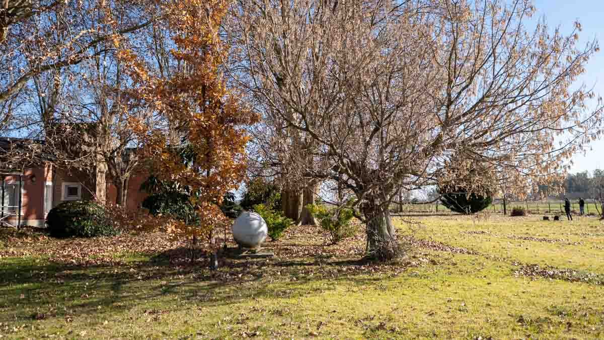 R074 – Campo de 222 has en Mercedes web_-18