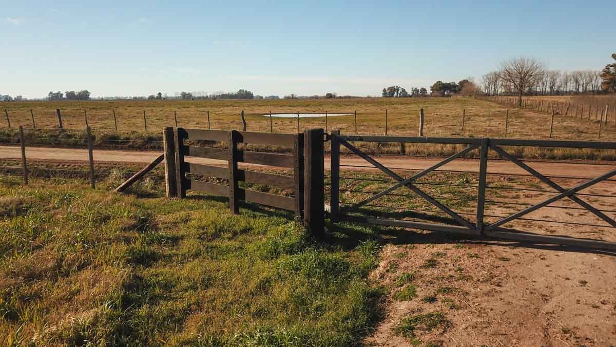 R075 – Campo de 31.6 hectaras en Lobos web-10
