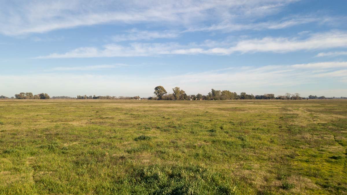 R075 – Campo de 31.6 hectaras en Lobos web-3