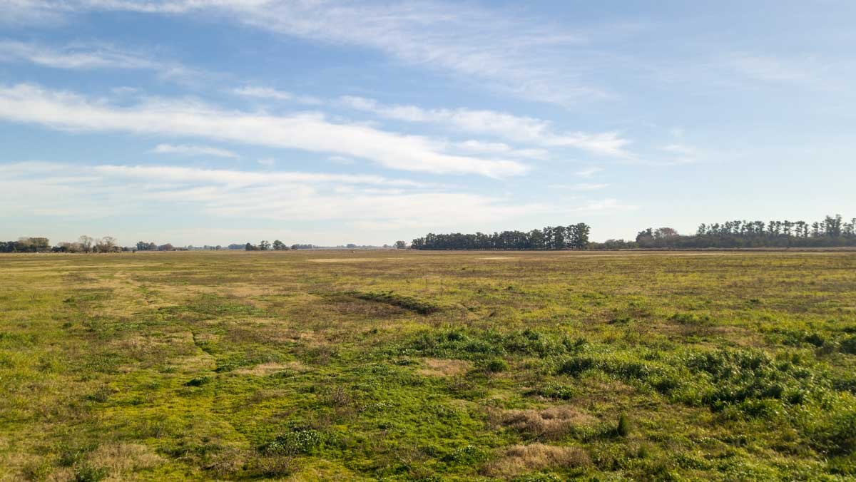 R075 – Campo de 31.6 hectaras en Lobos web-4