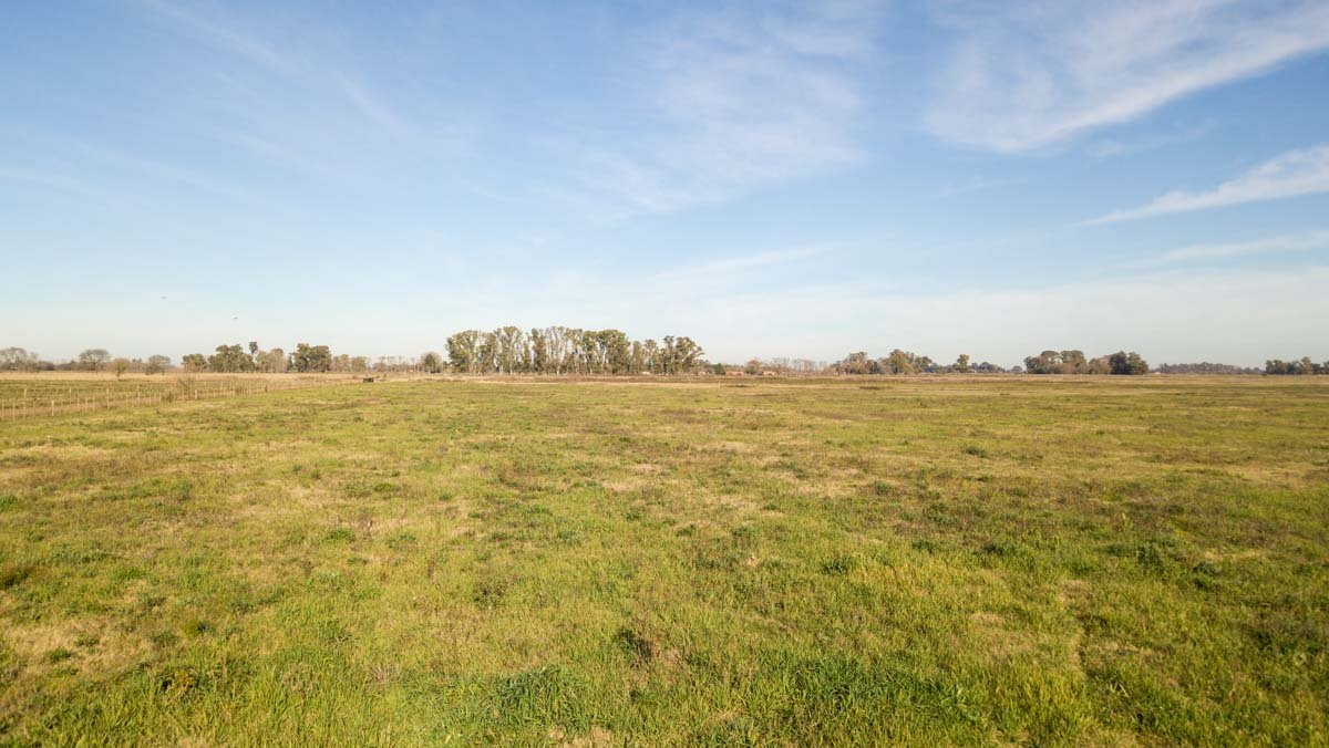 R075 – Campo de 31.6 hectaras en Lobos web-5