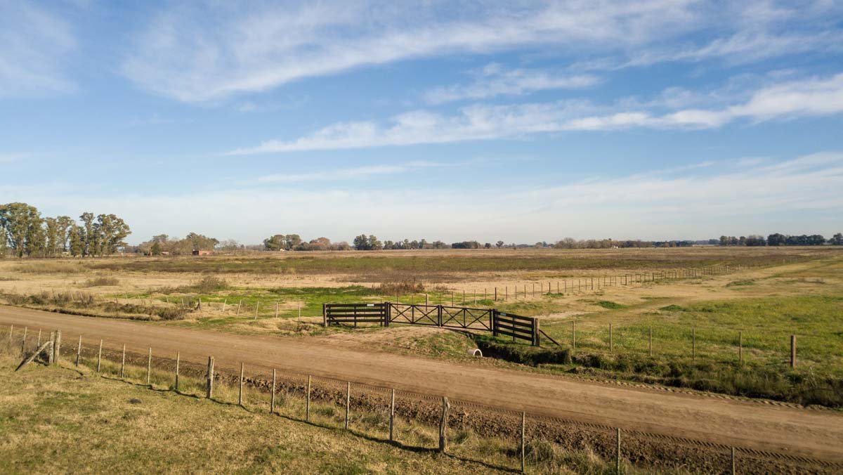 R075 – Campo de 31.6 hectaras en Lobos web-6