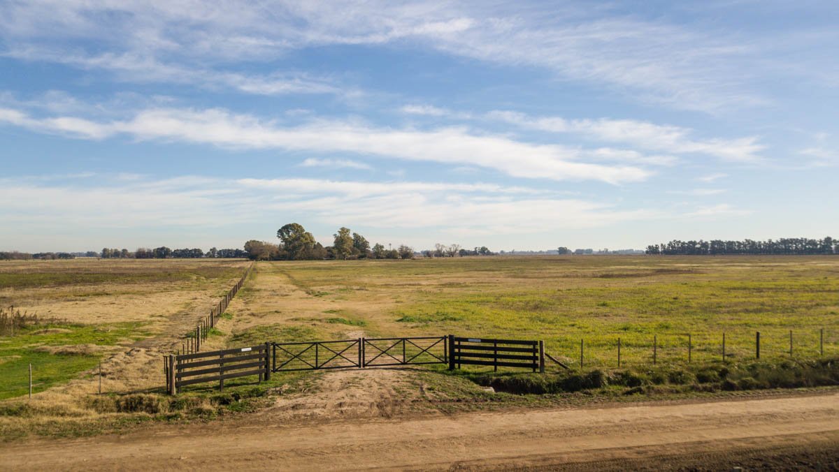 R075 – Campo de 31.6 hectaras en Lobos web-7