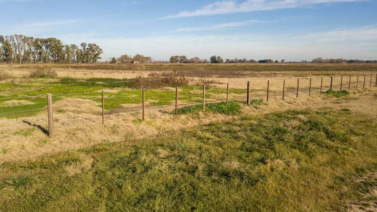 R075 – Campo de 31.6 hectaras en Lobos web-8