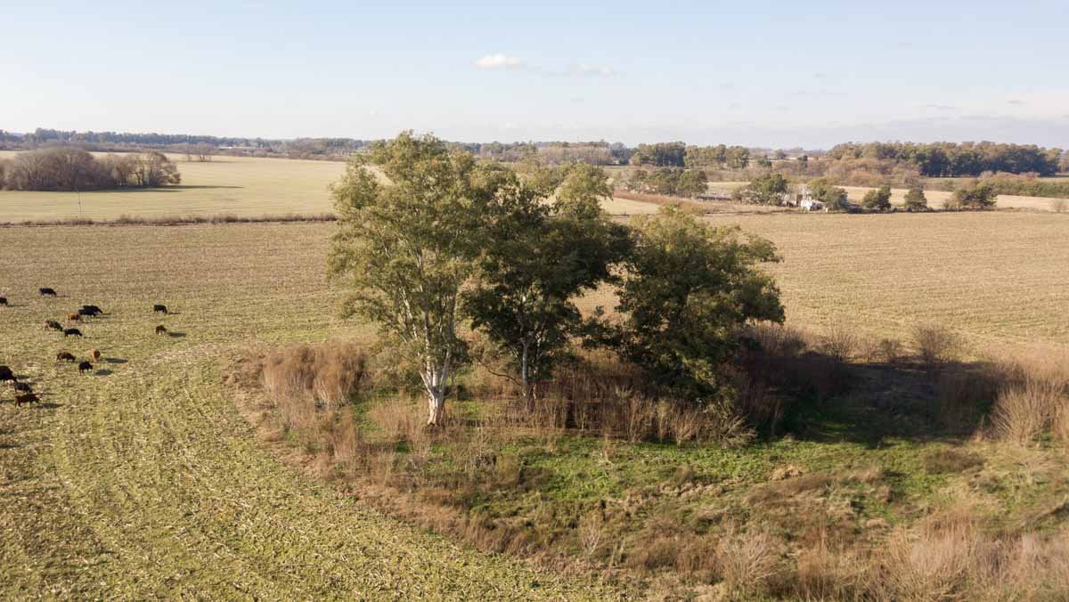 R077 – Campo de 27 hectáreas en Lobos WEB-10