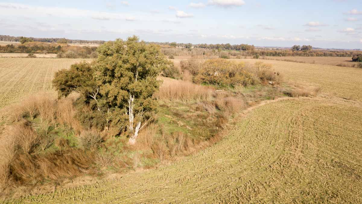 R077 – Campo de 27 hectáreas en Lobos WEB-11